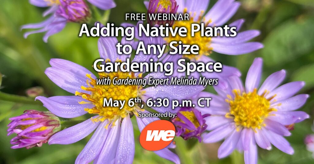 Native plants for any size gardening space