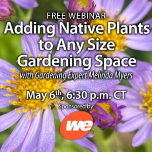 Native plants for any size gardening space
