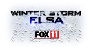 Winter Storm Elsa Fox 11