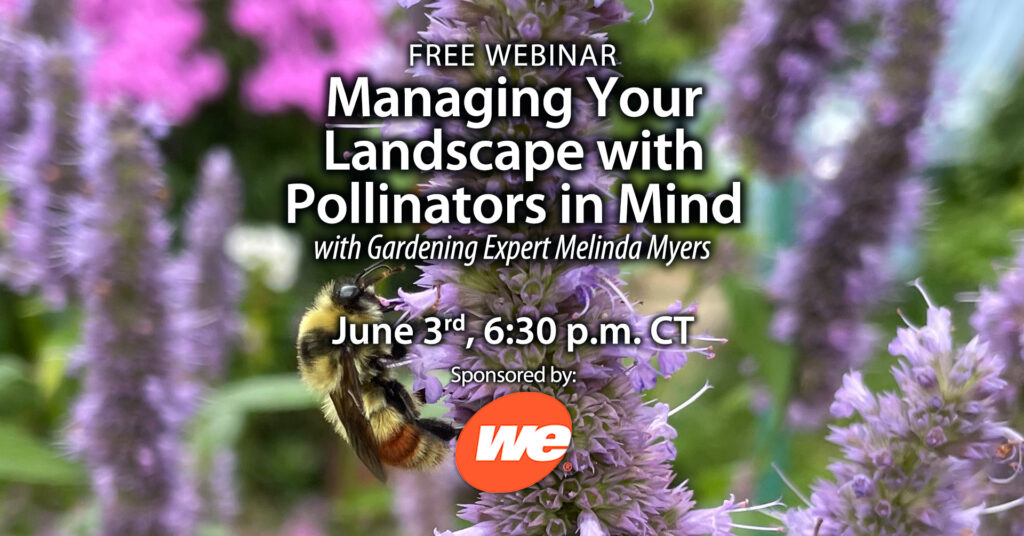 A program about pollinators