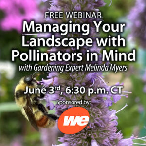 A program about pollinators